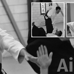 Aishinkai Aikido