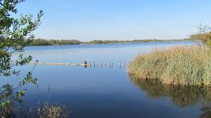 Binnenkort in de Vinkeveense Plassen